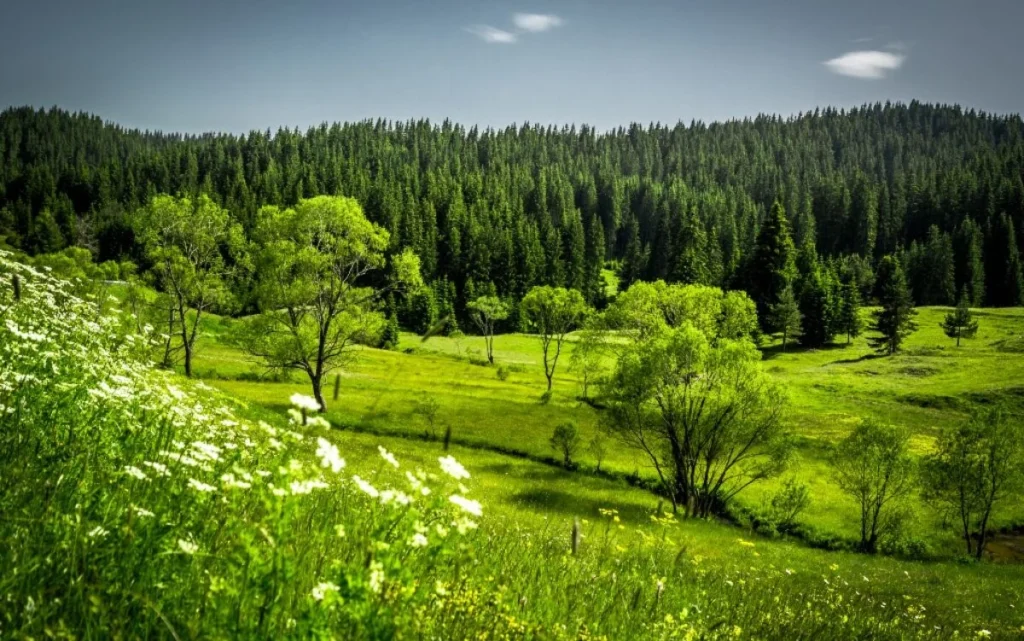 родопи - българското чудо