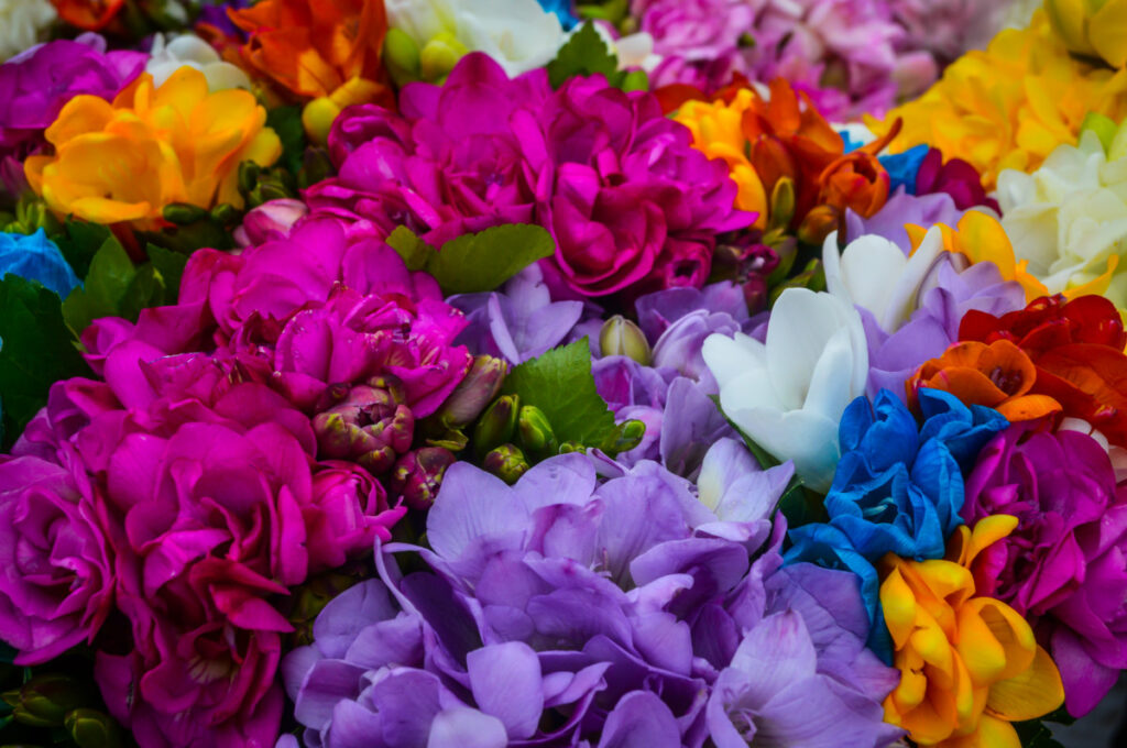 30 октомври – празникът на светлината и новото начало